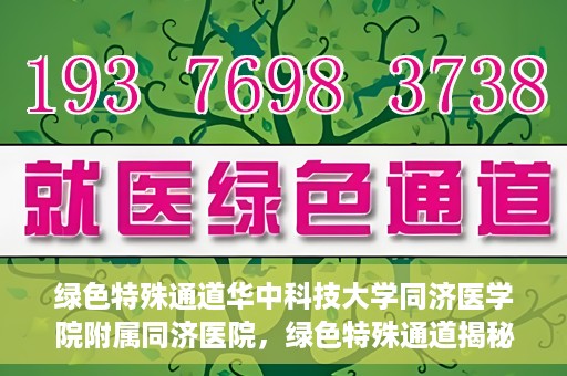 绿色特殊通道华中科技大学同济医学院附属同济医院，绿色特殊通道揭秘，华中科技大学同济医学院附属同济医院的探索之路
