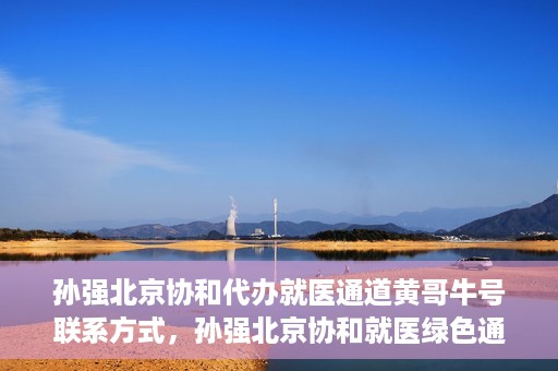 孙强北京协和代办就医通道黄哥牛号联系方式，孙强北京协和就医绿色通道，黄哥牛号联系方式揭秘