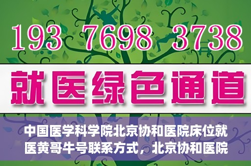 中国医学科学院北京协和医院床位就医黄哥牛号联系方式，北京协和医院床位就医攻略，黄哥牛号联系方式揭秘