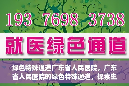 绿色特殊通道广东省人民医院，广东省人民医院的绿色特殊通道，探索生命的新路径
