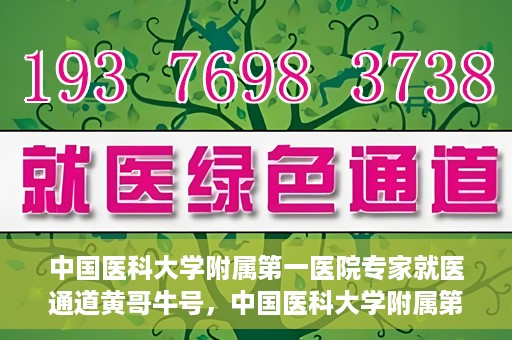 中国医科大学附属第一医院专家就医通道黄哥牛号，中国医科大学附属第一医院专家就医通道揭秘，黄哥牛号引领就医新风尚