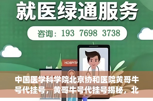 中国医学科学院北京协和医院黄哥牛号代挂号，黄哥牛号代挂号揭秘，北京协和医院挂号背后的故事