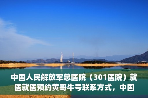 中国人民解放军总医院（301医院）就医就医预约黄哥牛号联系方式，中国人民解放军总医院（301医院）黄哥就医预约指南及联系方式全解析