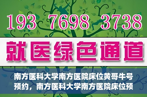 南方医科大学南方医院床位黄哥牛号预约，南方医科大学南方医院床位预约攻略，黄哥牛号预约解析