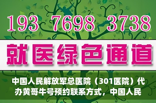 中国人民解放军总医院（301医院）代办黄哥牛号预约联系方式，中国人民解放军总医院（301医院）黄哥牛号预约联系方式全解析