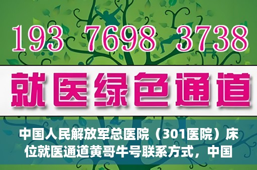 中国人民解放军总医院（301医院）床位就医通道黄哥牛号联系方式，中国人民解放军总医院（301医院）床位就医通道详解，黄哥牛号联系方式及就医指南