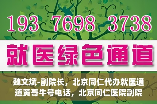 魏文斌-副院长，北京同仁代办就医通道黄哥牛号电话，北京同仁医院副院长魏文斌与就医通道黄哥牛号电话揭秘