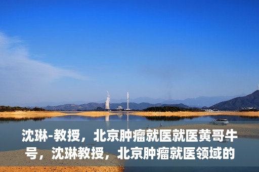 沈琳-教授，北京肿瘤就医就医黄哥牛号，沈琳教授，北京肿瘤就医领域的权威解读与黄哥牛号就医指南