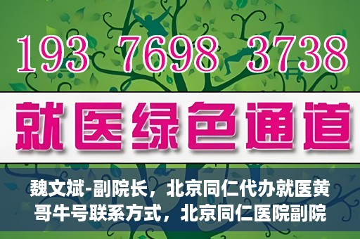 魏文斌-副院长，北京同仁代办就医黄哥牛号联系方式，北京同仁医院副院长魏文斌与就医黄哥，牛号联系方式背后的故事