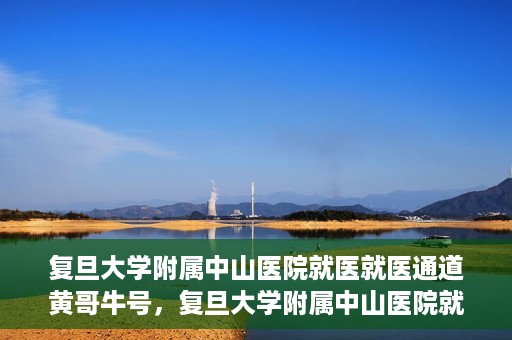 复旦大学附属中山医院就医就医通道黄哥牛号，复旦大学附属中山医院就医通道揭秘，黄哥牛号领航健康之路
