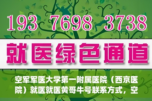 空军军医大学第一附属医院（西京医院）就医就医黄哥牛号联系方式，空军军医大学第一附属医院（西京医院）就医指南及黄哥牛号联系方式揭秘