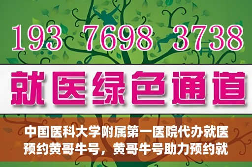 中国医科大学附属第一医院代办就医预约黄哥牛号，黄哥牛号助力预约就医，中国医科大学附属第一医院代办服务解析