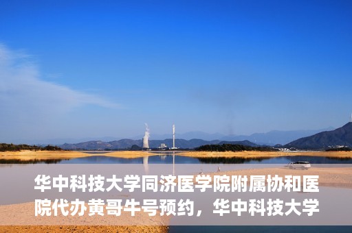 华中科技大学同济医学院附属协和医院代办黄哥牛号预约，华中科技大学同济医学院附属协和医院预约挂号代办服务解析——黄哥牛号预约攻略揭秘