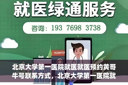 北京大学第一医院就医就医预约黄哥牛号联系方式，北京大学第一医院就医预约指南，黄哥牛号联系方式全解析