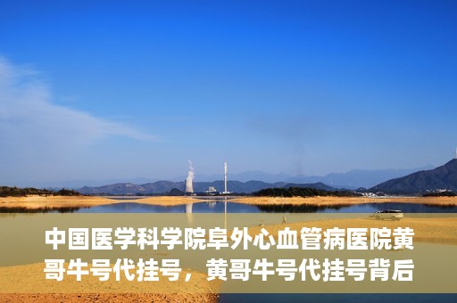 中国医学科学院阜外心血管病医院黄哥牛号代挂号，黄哥牛号代挂号背后的故事，阜外心血管病医院的探索与挑战