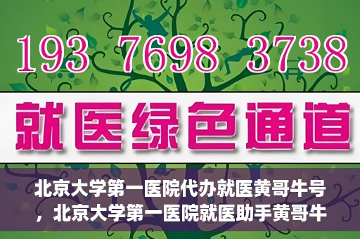 北京大学第一医院代办就医黄哥牛号，北京大学第一医院就医助手黄哥牛号助您轻松挂号就医