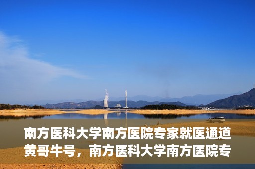 南方医科大学南方医院专家就医通道黄哥牛号，南方医科大学南方医院专家就医通道揭秘，黄哥牛号引领健康之路