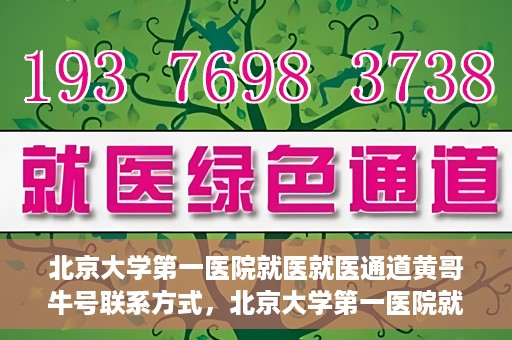 北京大学第一医院就医就医通道黄哥牛号联系方式，北京大学第一医院就医通道详解，黄哥牛号联系方式揭秘