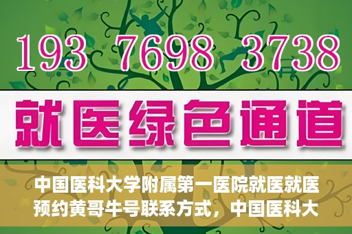 中国医科大学附属第一医院就医就医预约黄哥牛号联系方式，中国医科大学附属第一医院就医预约指南，黄哥牛号联系方式揭秘