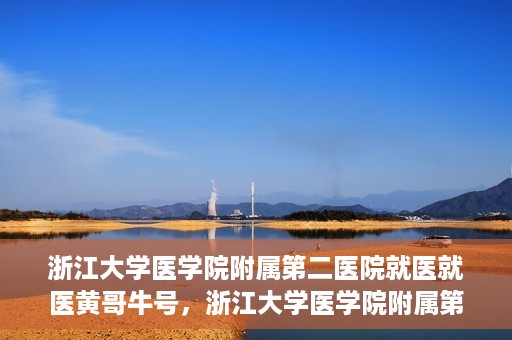 浙江大学医学院附属第二医院就医就医黄哥牛号，浙江大学医学院附属第二医院就医黄哥牛号，就医攻略与体验分享
