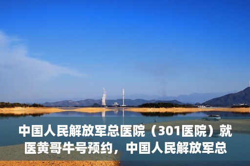 中国人民解放军总医院（301医院）就医黄哥牛号预约，中国人民解放军总医院（301医院）黄哥牛号预约挂号攻略
