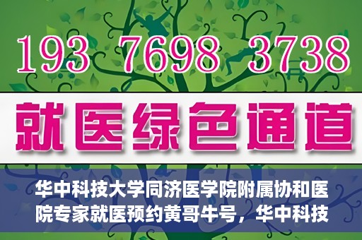华中科技大学同济医学院附属协和医院专家就医预约黄哥牛号，华中科技大学同济医学院附属协和医院专家就医预约系统，黄哥牛号助您轻松预约专家号