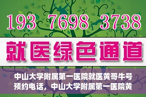 中山大学附属第一医院就医黄哥牛号预约电话，中山大学附属第一医院黄哥牛号预约电话及就医指南