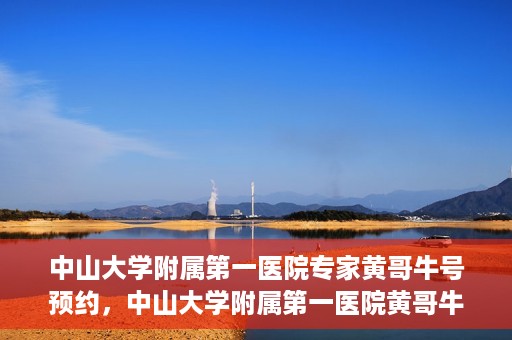 中山大学附属第一医院专家黄哥牛号预约，中山大学附属第一医院黄哥牛专家号预约攻略