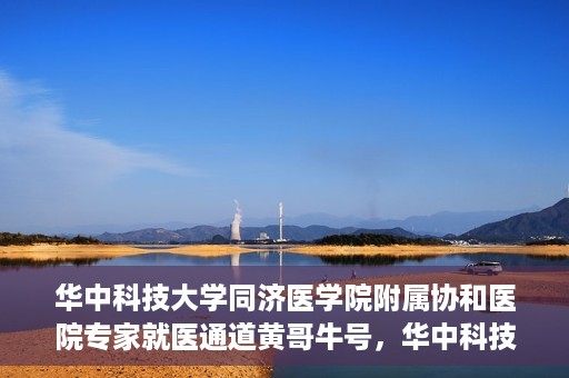华中科技大学同济医学院附属协和医院专家就医通道黄哥牛号，华中科技大学同济医学院附属协和医院专家就医通道，黄哥牛号专家预约指南