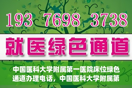 中国医科大学附属第一医院床位绿色通道办理电话，中国医科大学附属第一医院床位绿色通道咨询热线揭秘