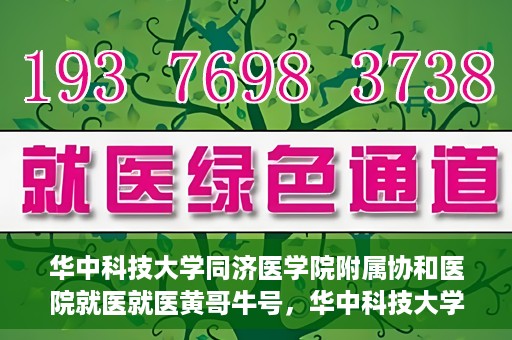 华中科技大学同济医学院附属协和医院就医就医黄哥牛号，华中科技大学同济医学院附属协和医院就医黄哥牛号解析与体验