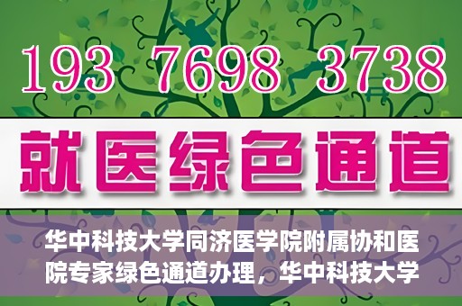 华中科技大学同济医学院附属协和医院专家绿色通道办理，华中科技大学同济医学院附属协和医院专家绿色通道办理详解