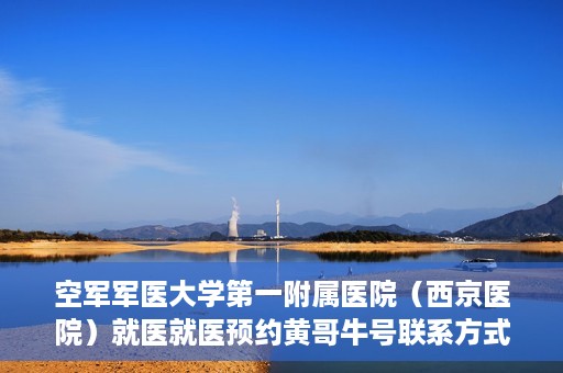 空军军医大学第一附属医院（西京医院）就医就医预约黄哥牛号联系方式，空军军医大学第一附属医院（西京医院）预约挂号联系方式揭秘，黄哥牛号助您轻松就医体验。