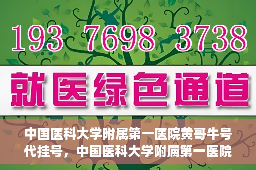 中国医科大学附属第一医院黄哥牛号代挂号，中国医科大学附属第一医院黄哥牛号代挂号服务详解