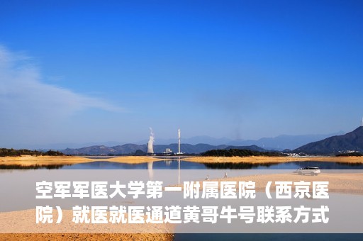 空军军医大学第一附属医院（西京医院）就医就医通道黄哥牛号联系方式，空军军医大学第一附属医院（西京医院）就医通道详解，黄哥牛号联系方式揭秘！