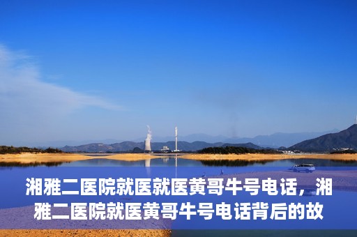 湘雅二医院就医就医黄哥牛号电话，湘雅二医院就医黄哥牛号电话背后的故事，揭秘就医新途径的神秘力量
