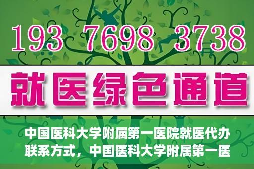 中国医科大学附属第一医院就医代办联系方式，中国医科大学附属第一医院就医代办服务联系方式及流程解析