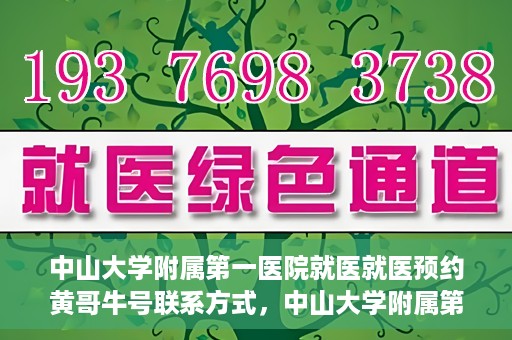 中山大学附属第一医院就医就医预约黄哥牛号联系方式，中山大学附属第一医院就医预约指南，黄哥牛号联系方式揭秘