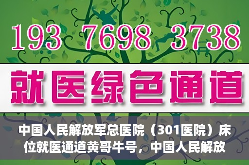 中国人民解放军总医院（301医院）床位就医通道黄哥牛号，中国人民解放军总医院（301医院）床位就医通道详解，黄哥牛号助您快速就医！