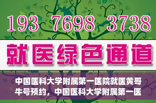 中国医科大学附属第一医院就医黄哥牛号预约，中国医科大学附属第一医院就医黄哥牛号预约攻略详解
