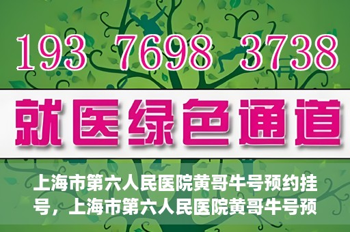 上海市第六人民医院黄哥牛号预约挂号，上海市第六人民医院黄哥牛号预约挂号攻略，轻松挂号，便捷就医体验