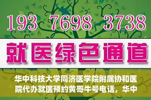 华中科技大学同济医学院附属协和医院代办就医预约黄哥牛号电话，华中科技大学同济医学院附属协和医院预约就医黄哥牛电话服务介绍