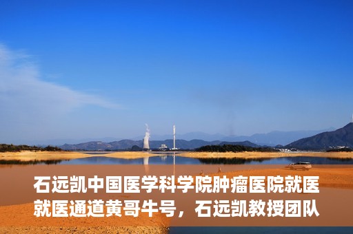 石远凯中国医学科学院肿瘤医院就医就医通道黄哥牛号，石远凯教授团队就医通道，中国医学科学院肿瘤医院就医指南及黄哥牛号解析