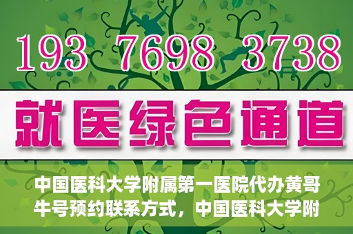 中国医科大学附属第一医院代办黄哥牛号预约联系方式，中国医科大学附属第一医院预约挂号联系方式，黄哥牛号预约服务解析