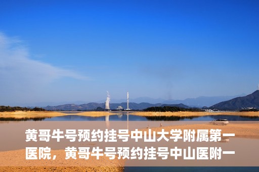 黄哥牛号预约挂号中山大学附属第一医院，黄哥牛号预约挂号中山医附一院，一站式便捷就医体验