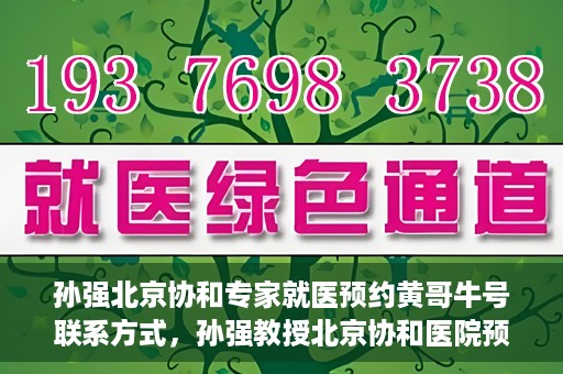 孙强北京协和专家就医预约黄哥牛号联系方式，孙强教授北京协和医院预约挂号指南，专家黄哥牛号联系方式揭秘