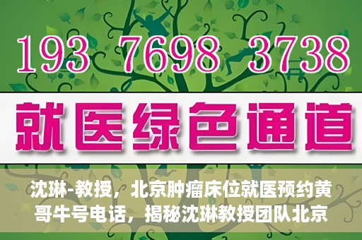 沈琳-教授，北京肿瘤床位就医预约黄哥牛号电话，揭秘沈琳教授团队北京肿瘤床位预约背后的故事，黄哥牛号电话就医攻略