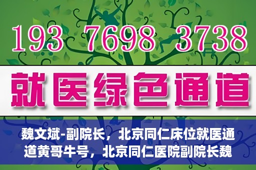 魏文斌-副院长，北京同仁床位就医通道黄哥牛号，北京同仁医院副院长魏文斌揭秘，床位就医通道背后的黄哥牛号故事