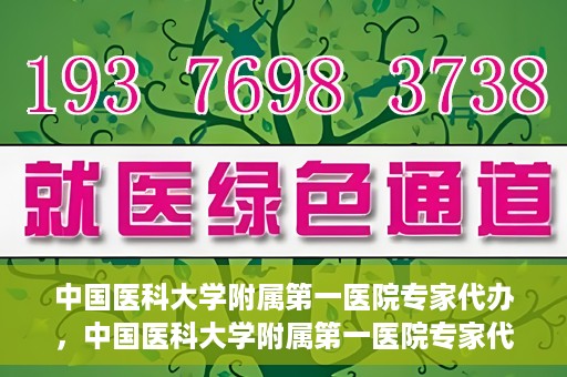 中国医科大学附属第一医院专家代办，中国医科大学附属第一医院专家代办服务详解