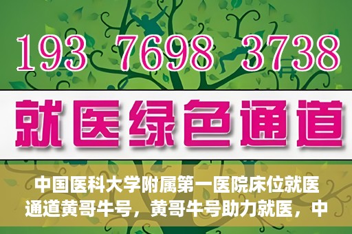 中国医科大学附属第一医院床位就医通道黄哥牛号，黄哥牛号助力就医，中国医科大学附属第一医院床位就医通道解析
